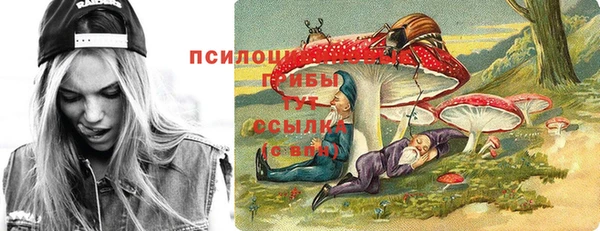 прущие грибы Алексин