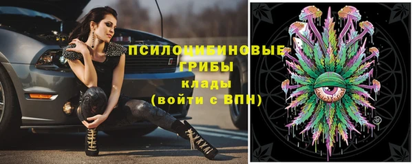 круглые Абаза