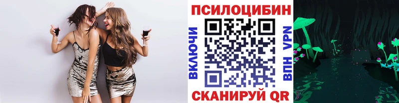 где можно купить наркотик  Тихвин  Галлюциногенные грибы MAGIC MUSHROOMS 